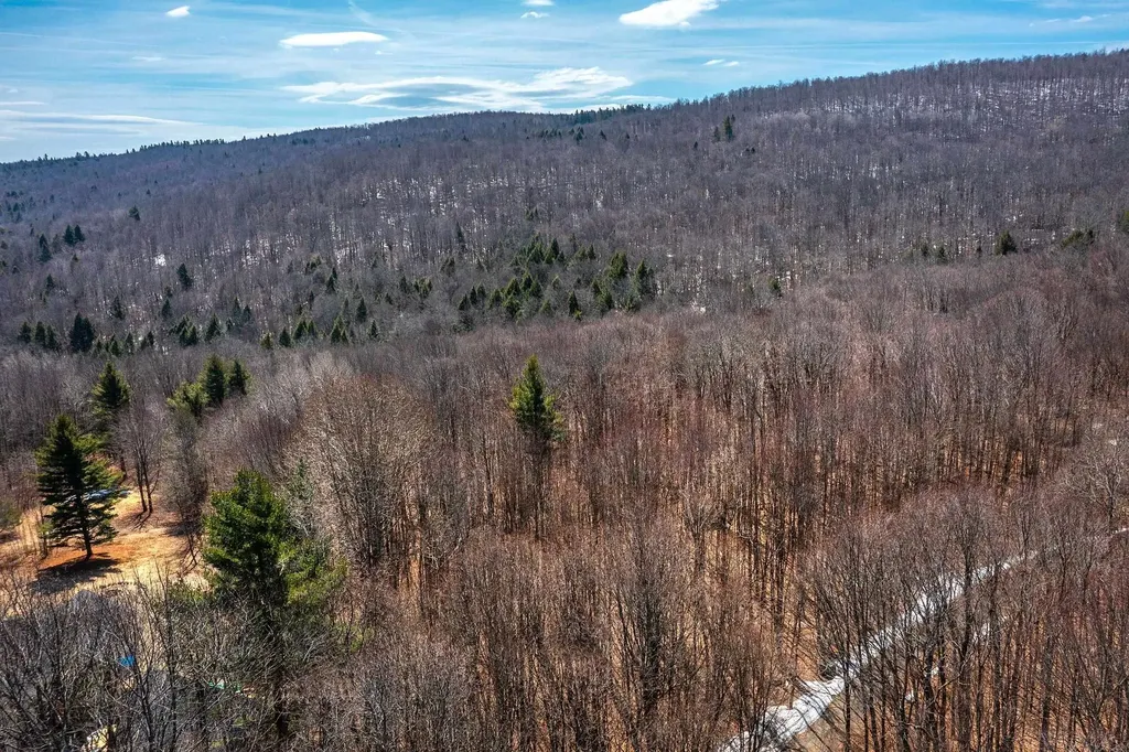 78 Captain Copeland Road Dover VT 05341