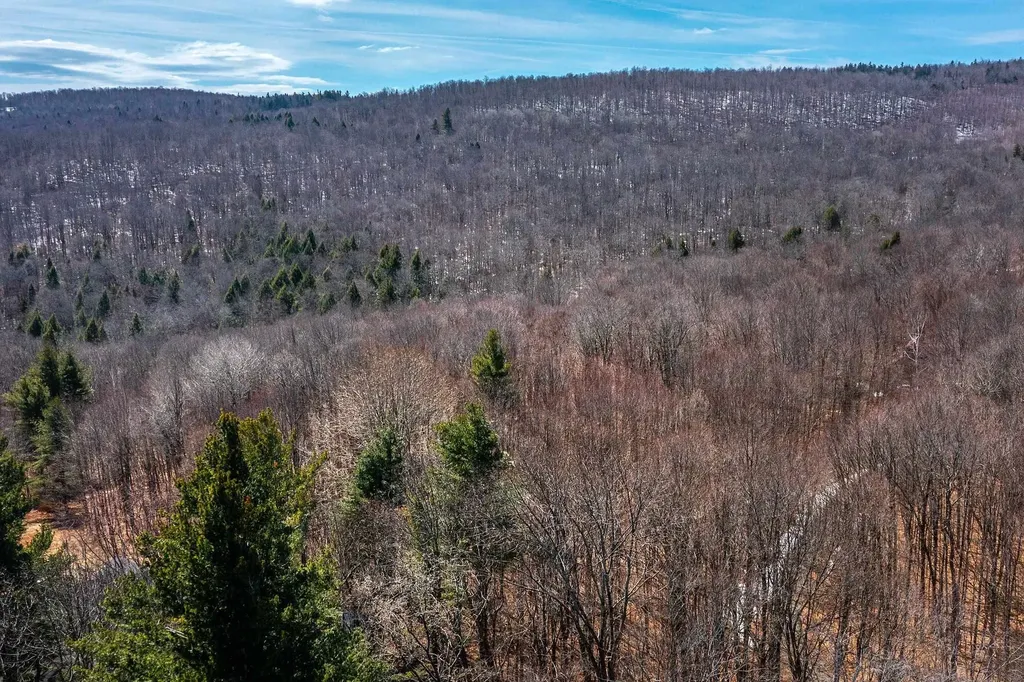 78 Captain Copeland Road Dover VT 05341