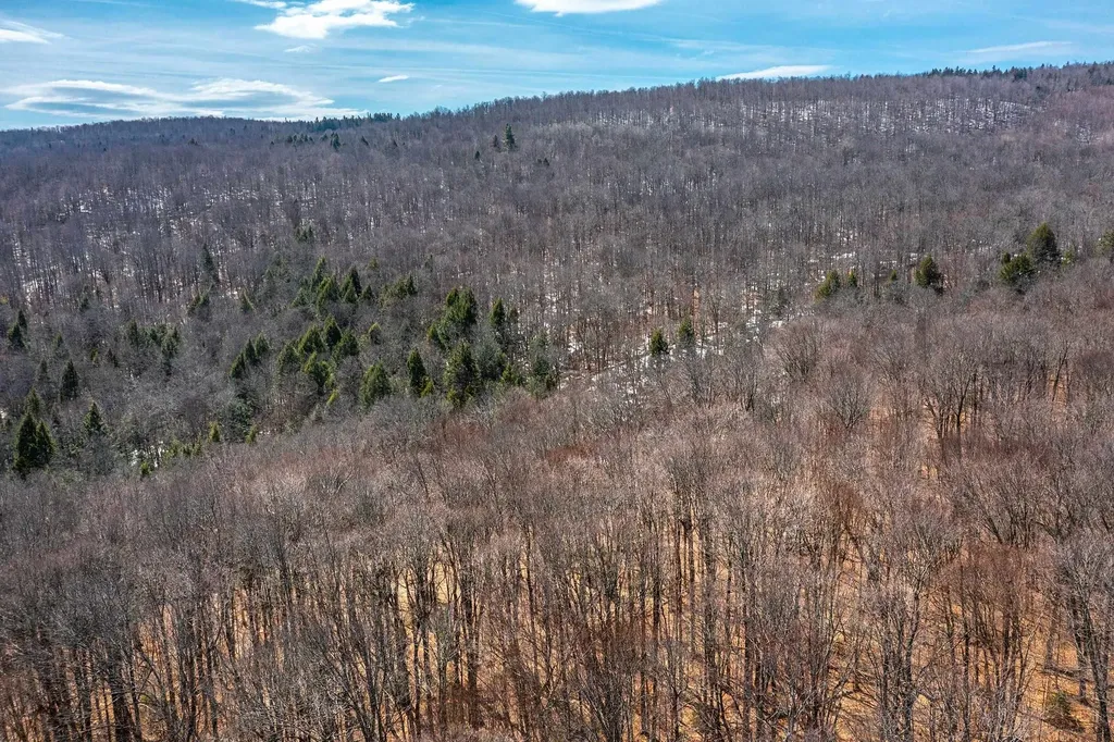 78 Captain Copeland Road Dover VT 05341