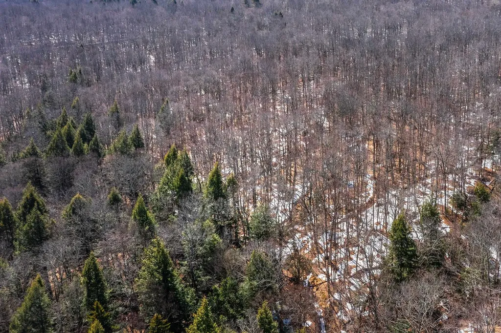 78 Captain Copeland Road Dover VT 05341