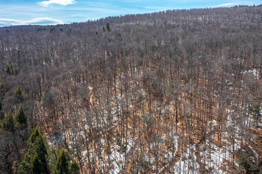 78 Captain Copeland Road Dover VT 05341