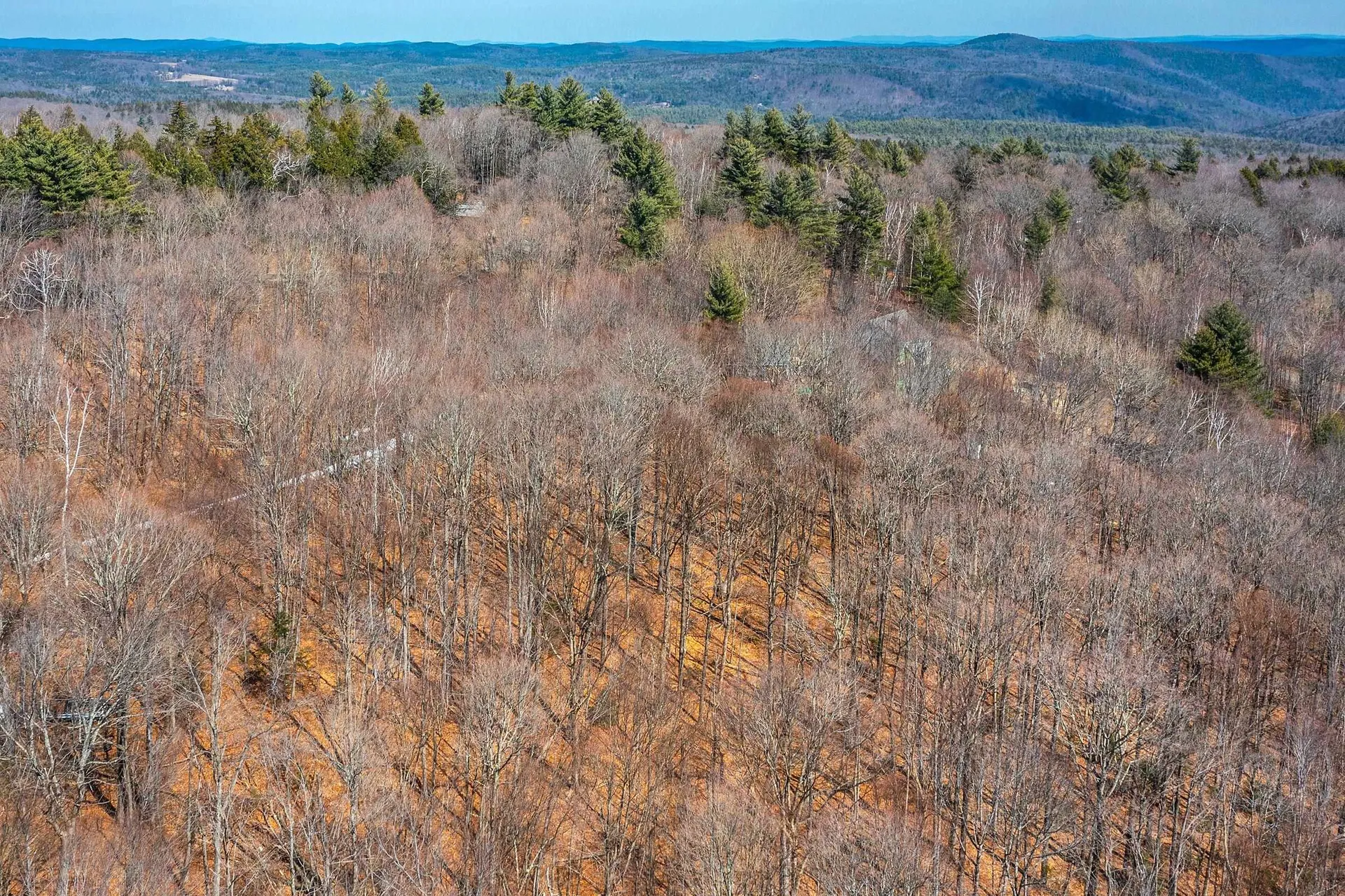 78 Captain Copeland Road Dover VT 05341