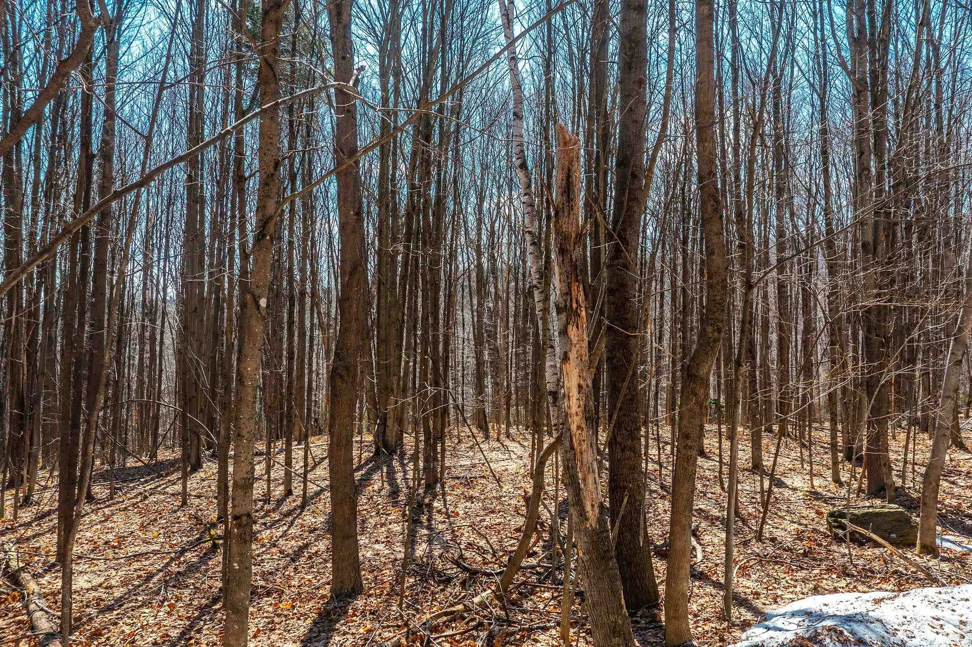 78 Captain Copeland Road Dover VT 05341