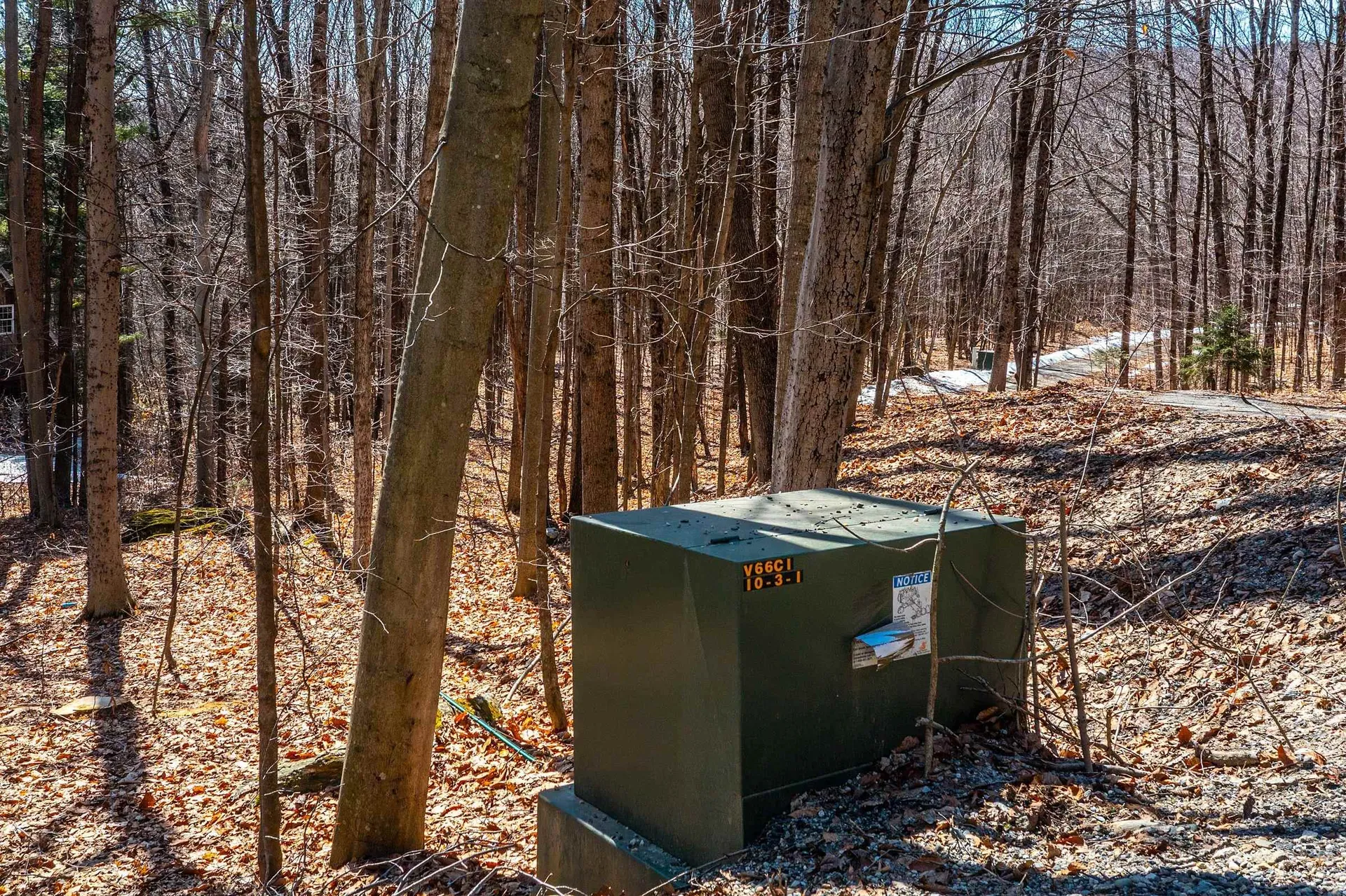 78 Captain Copeland Road Dover VT 05341