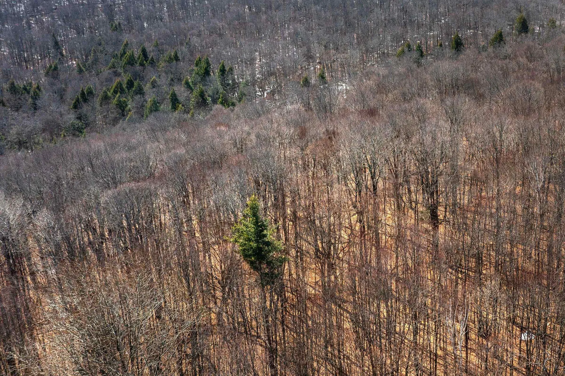 78 Captain Copeland Road Dover VT 05341