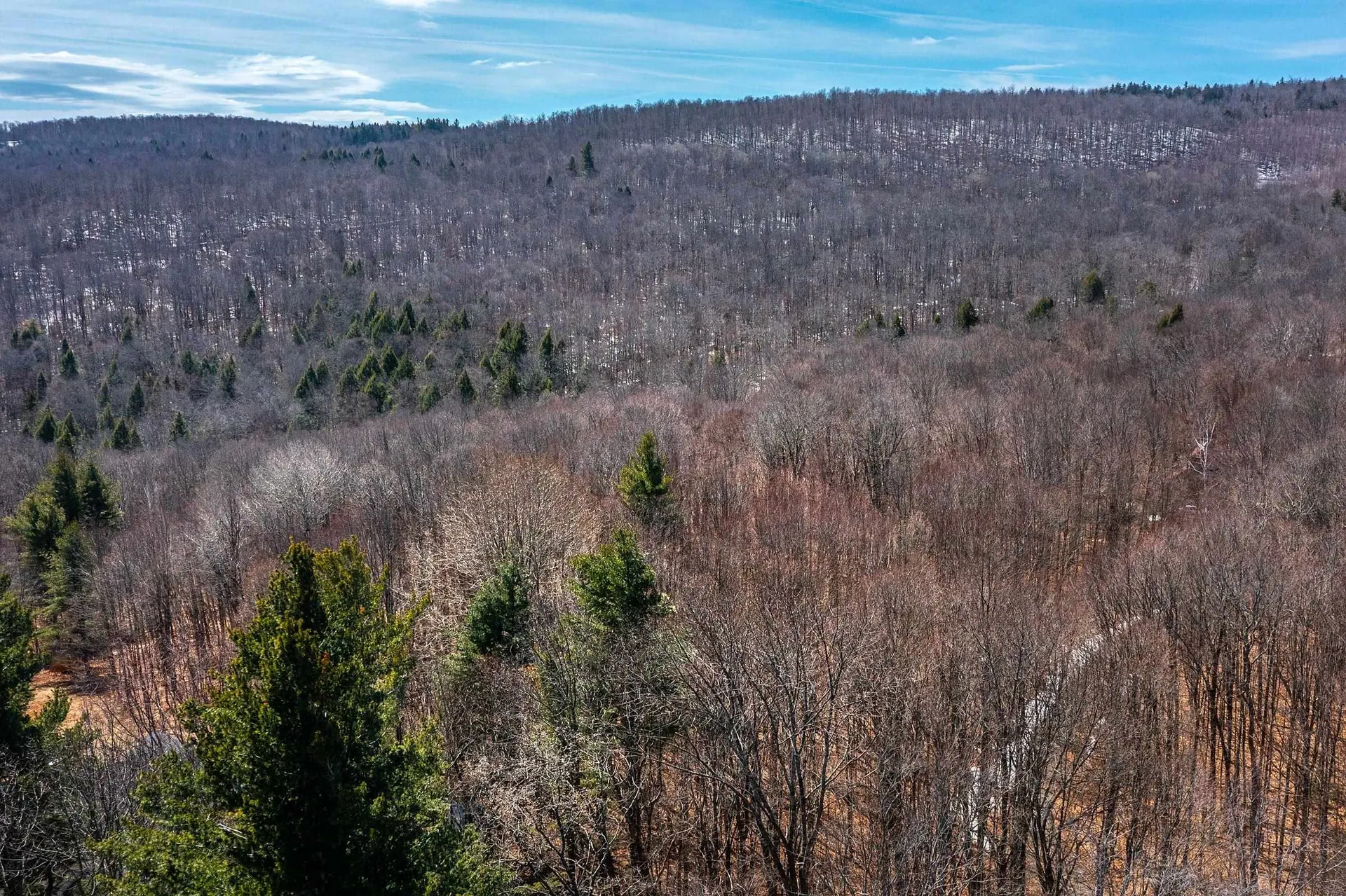 78 Captain Copeland Road Dover VT 05341