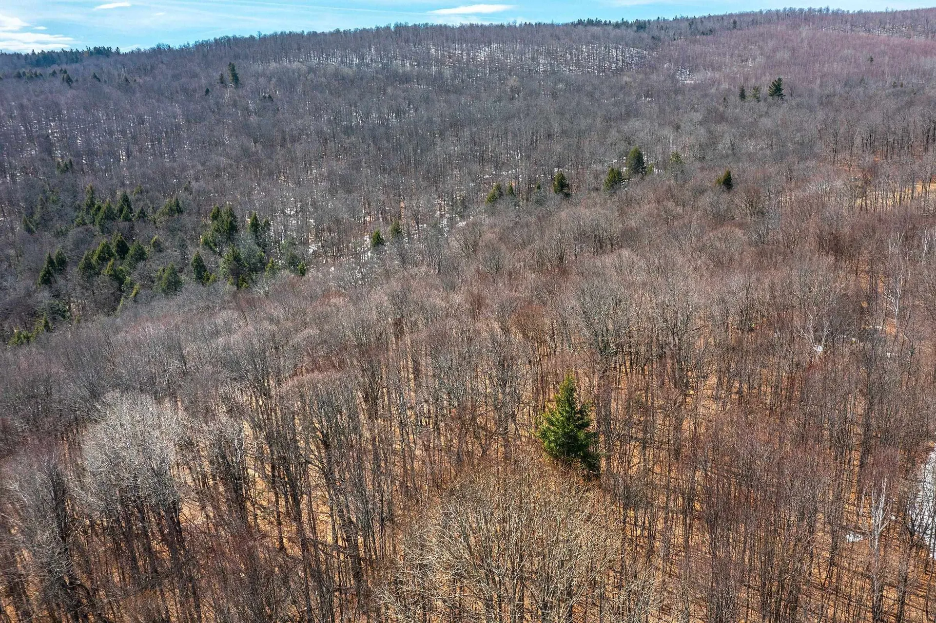 78 Captain Copeland Road Dover VT 05341