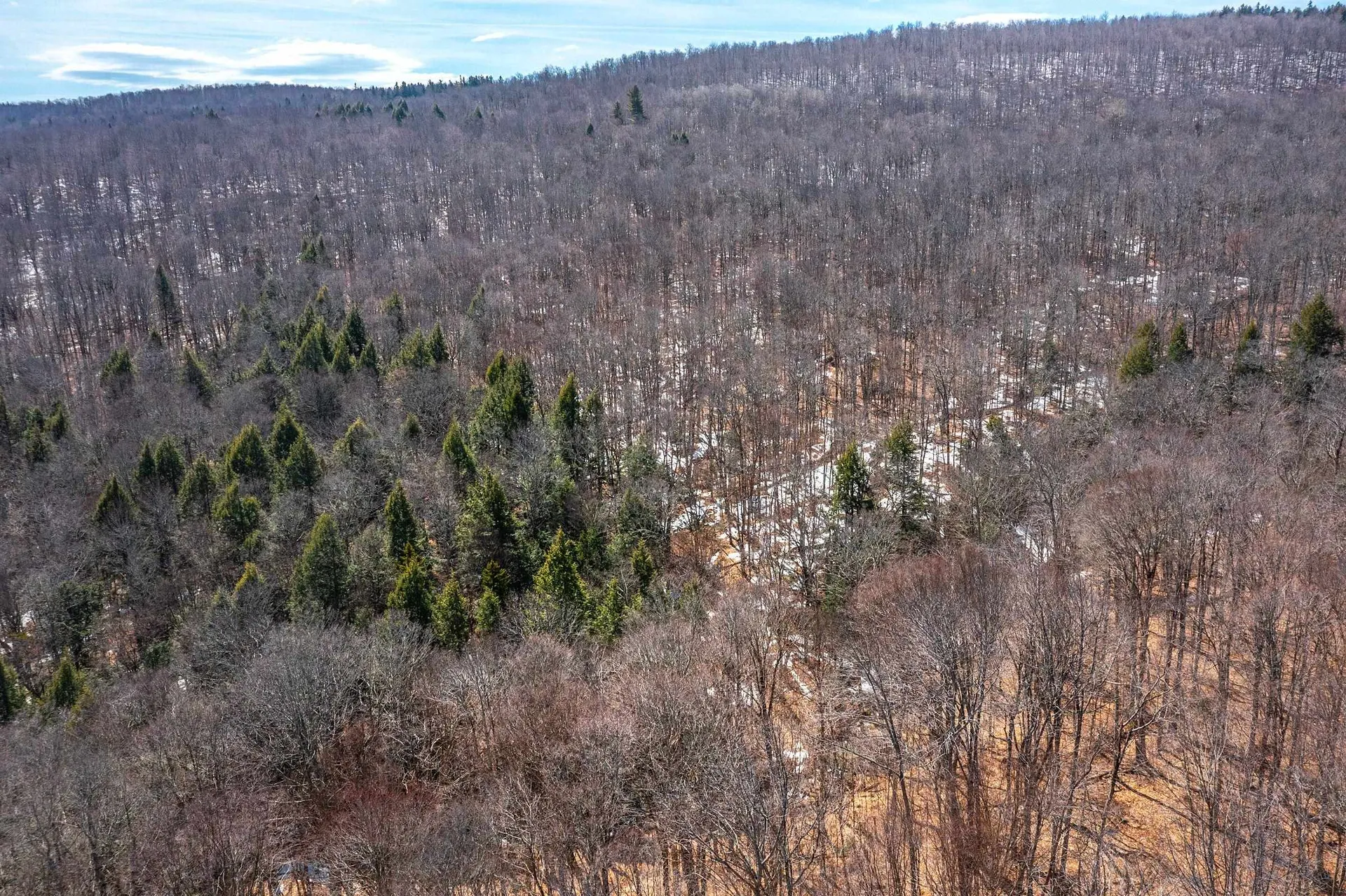 78 Captain Copeland Road Dover VT 05341