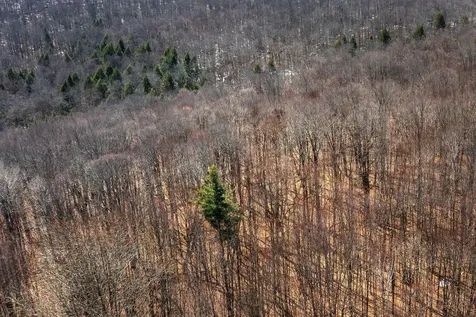 78 Captain Copeland Road Dover VT 05341