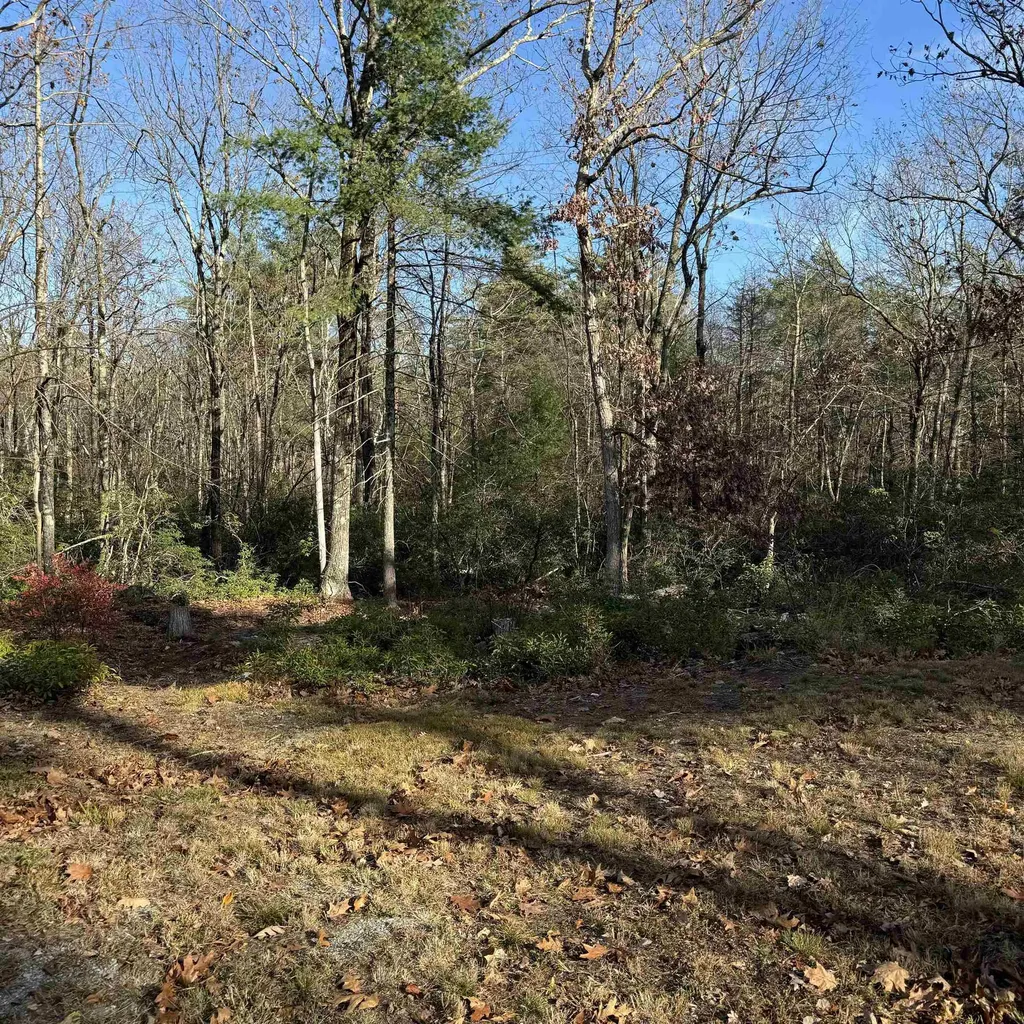 310 Hurricane Hill Road Mason NH 03048