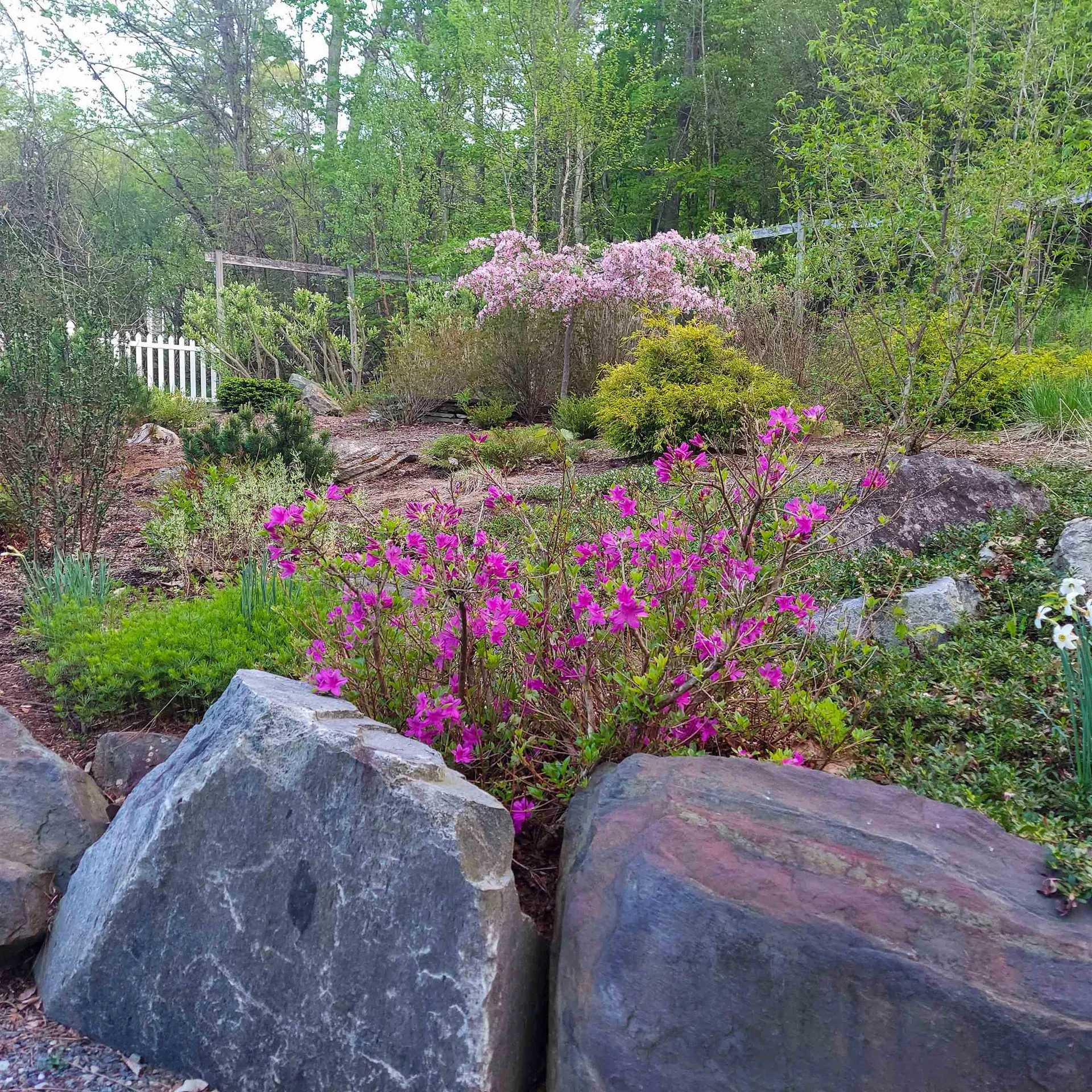 14 Macdonald Drive Hanover NH 03755