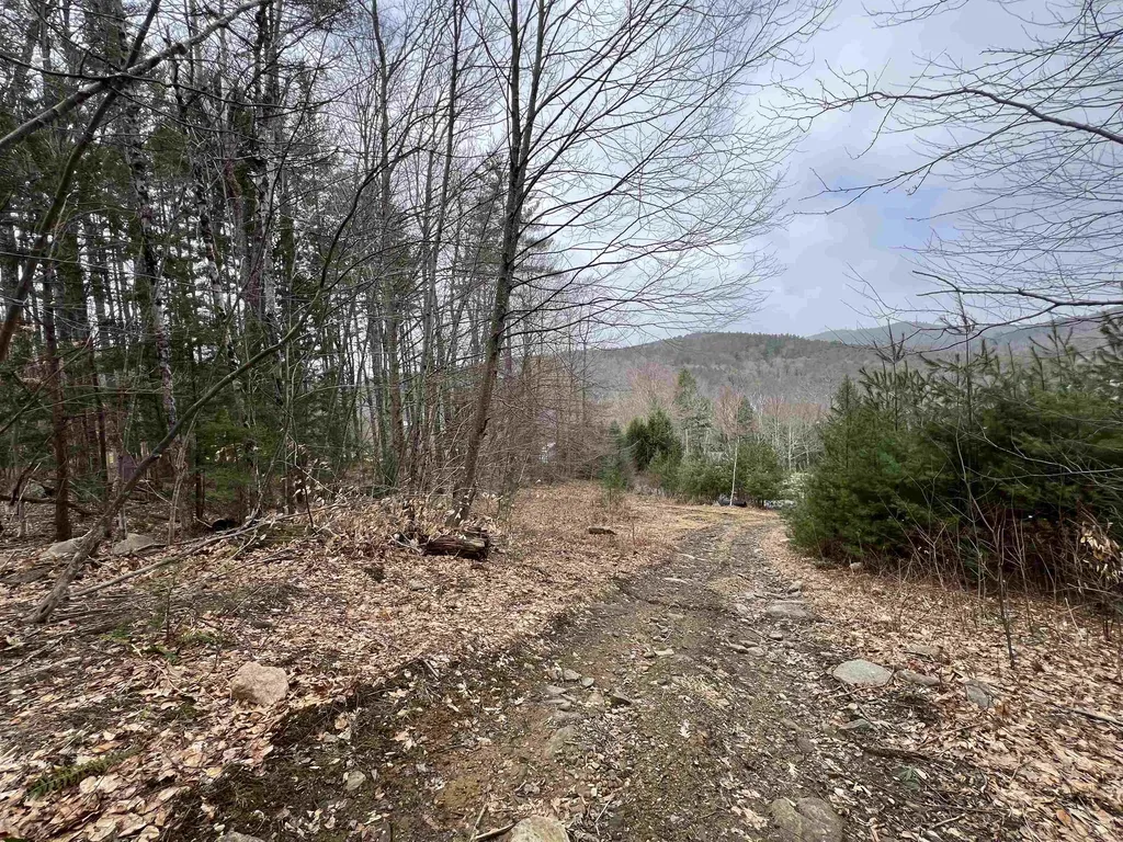 198 East Hill Road Wardsboro VT 05355