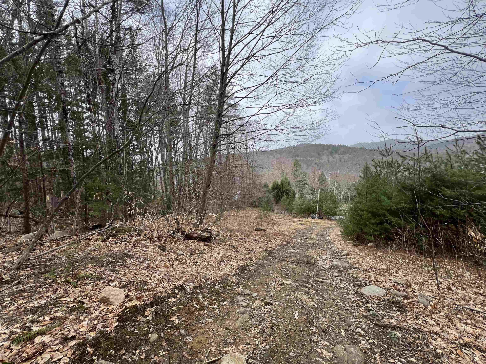 198 East Hill Road Wardsboro VT 05355