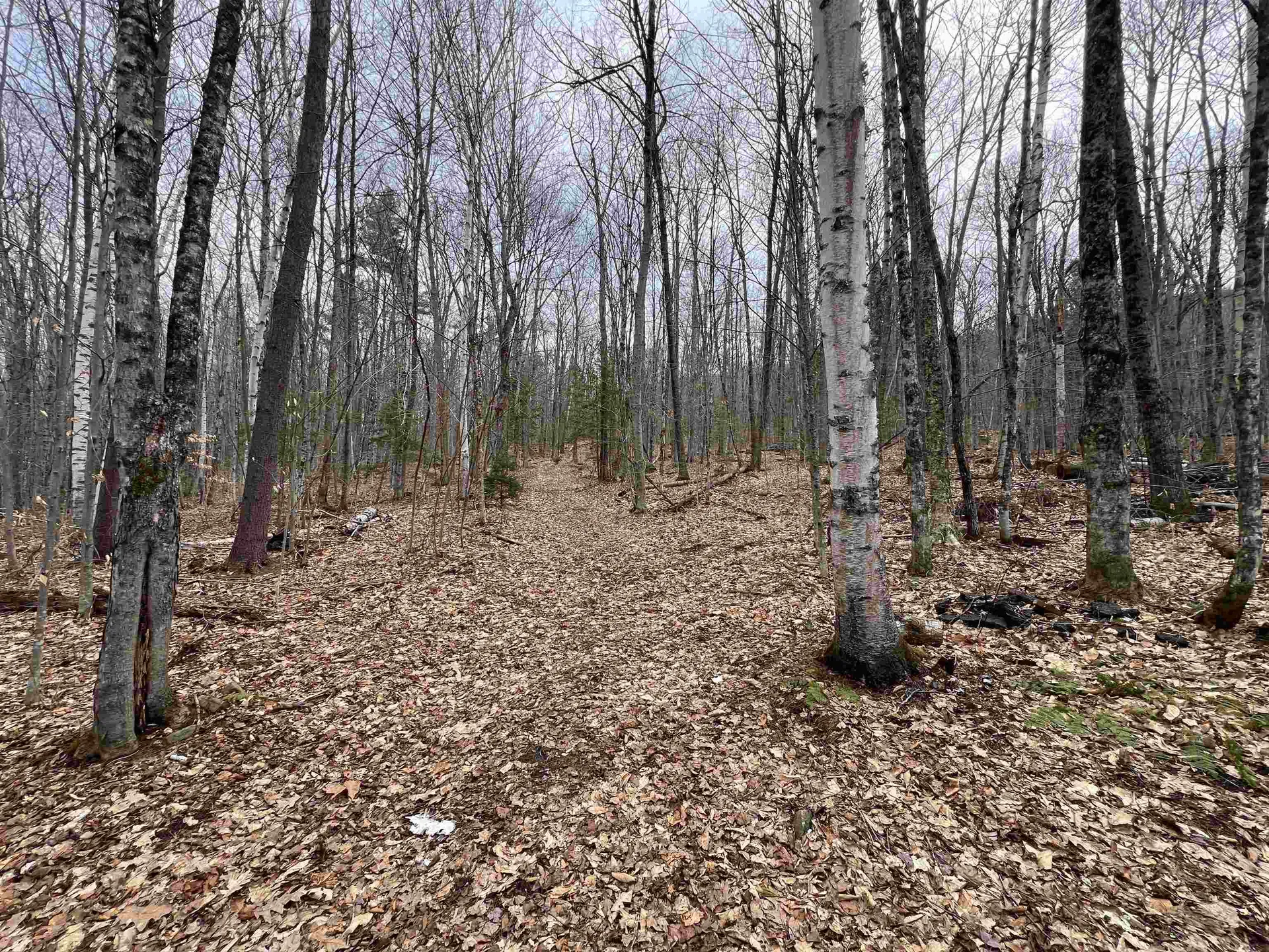 198 East Hill Road Wardsboro VT 05355