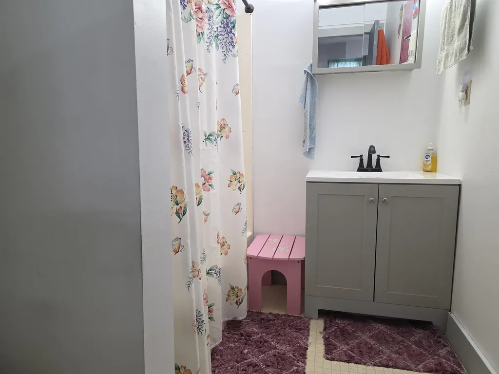 45 Dalrymple Street Chester VT 05143