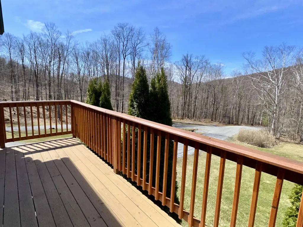 1052 Little Village Road Danby VT 05739