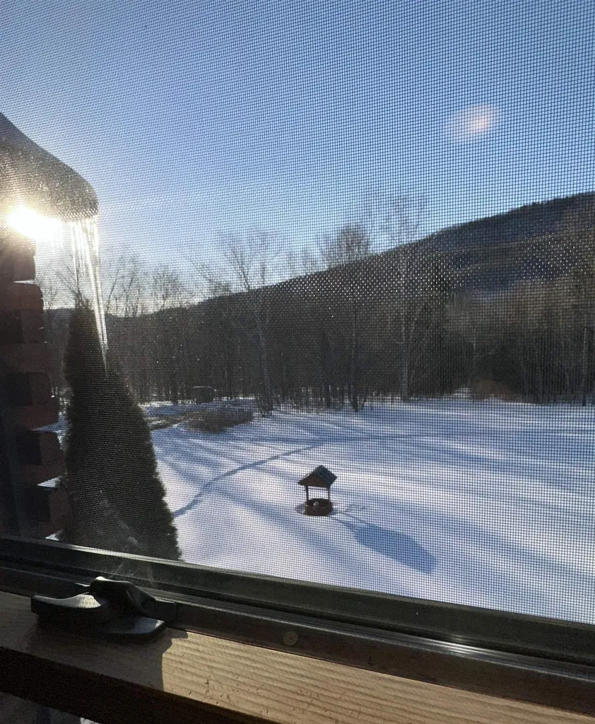 1052 Little Village Road Danby VT 05739