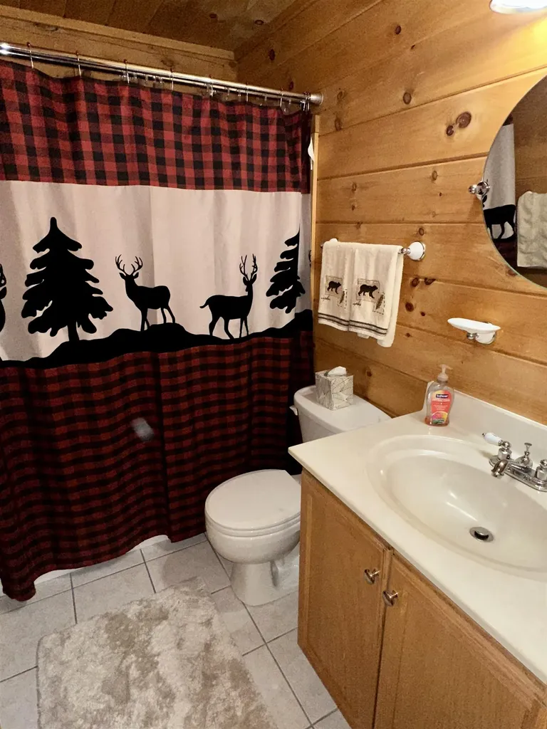 1052 Little Village Road Danby VT 05739