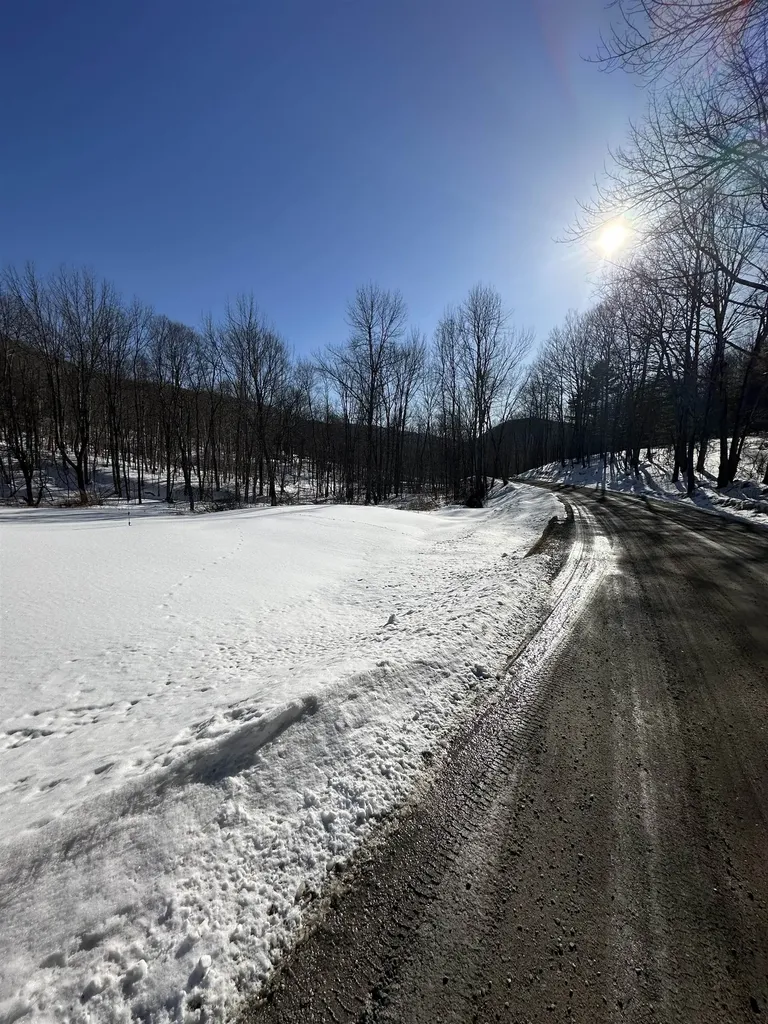 1052 Little Village Road Danby VT 05739