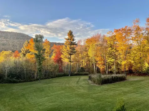 1052 Little Village Road Danby VT 05739