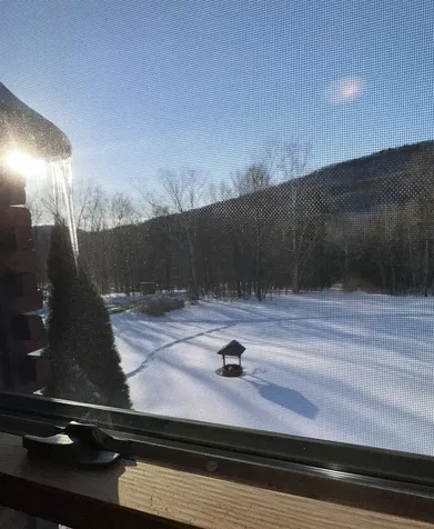 1052 Little Village Road Danby VT 05739