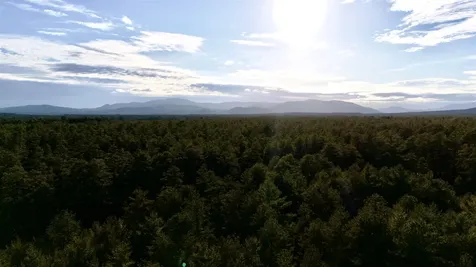 6 Pleasant Drive Freedom NH 03836