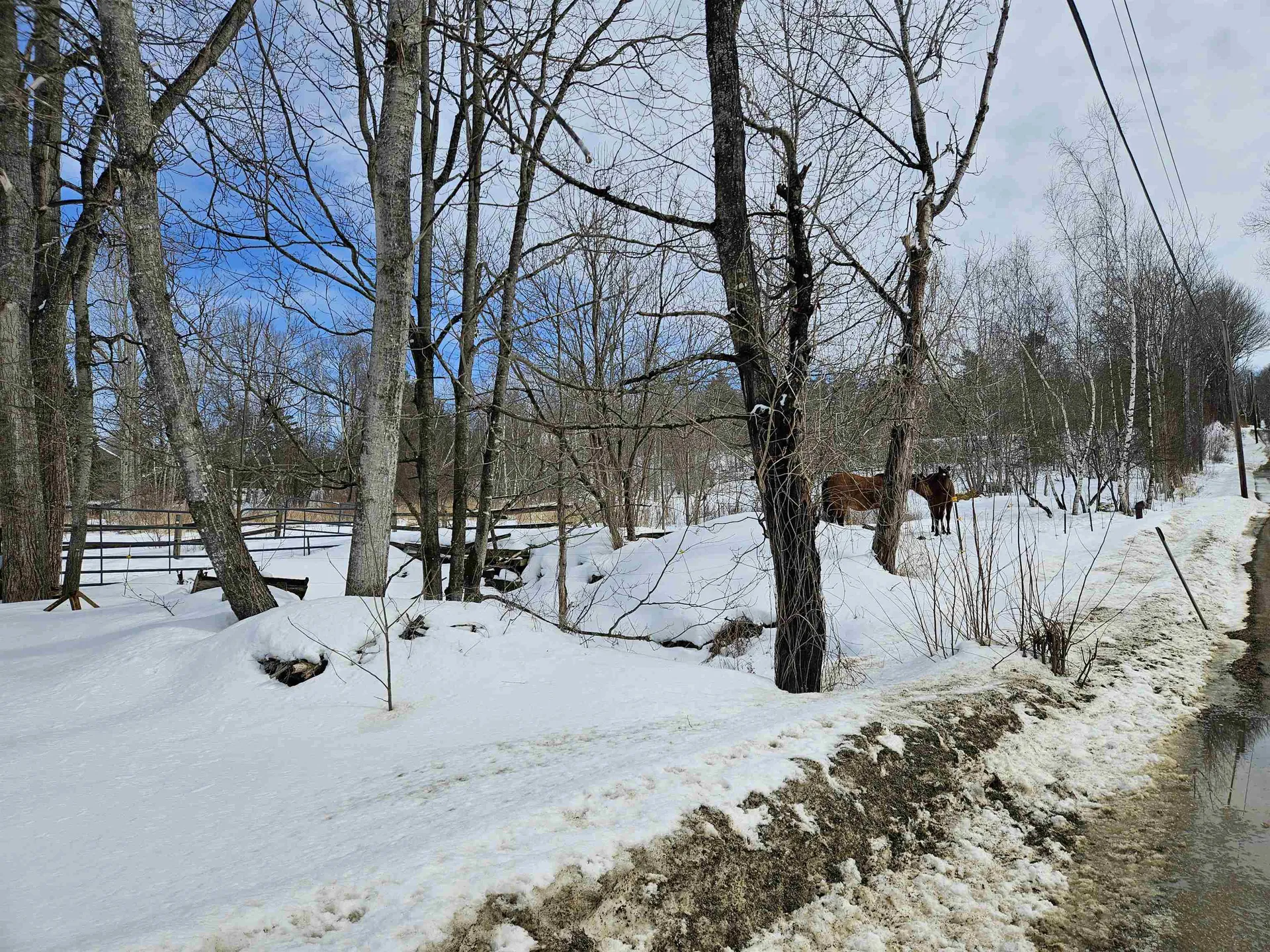 1553 Route 117 Sugar Hill NH 03586