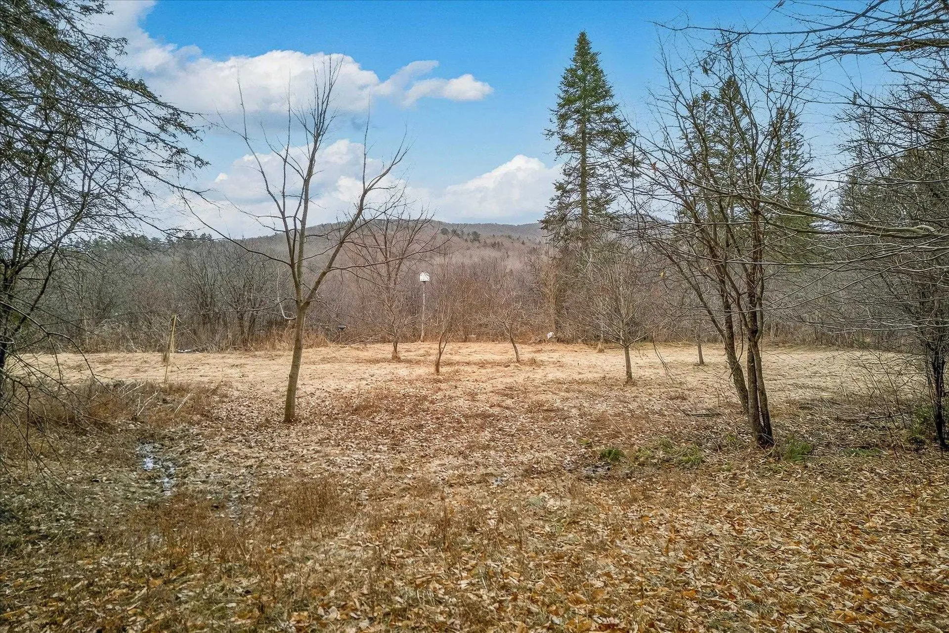 1343 Chelsea Road Corinth VT 05039