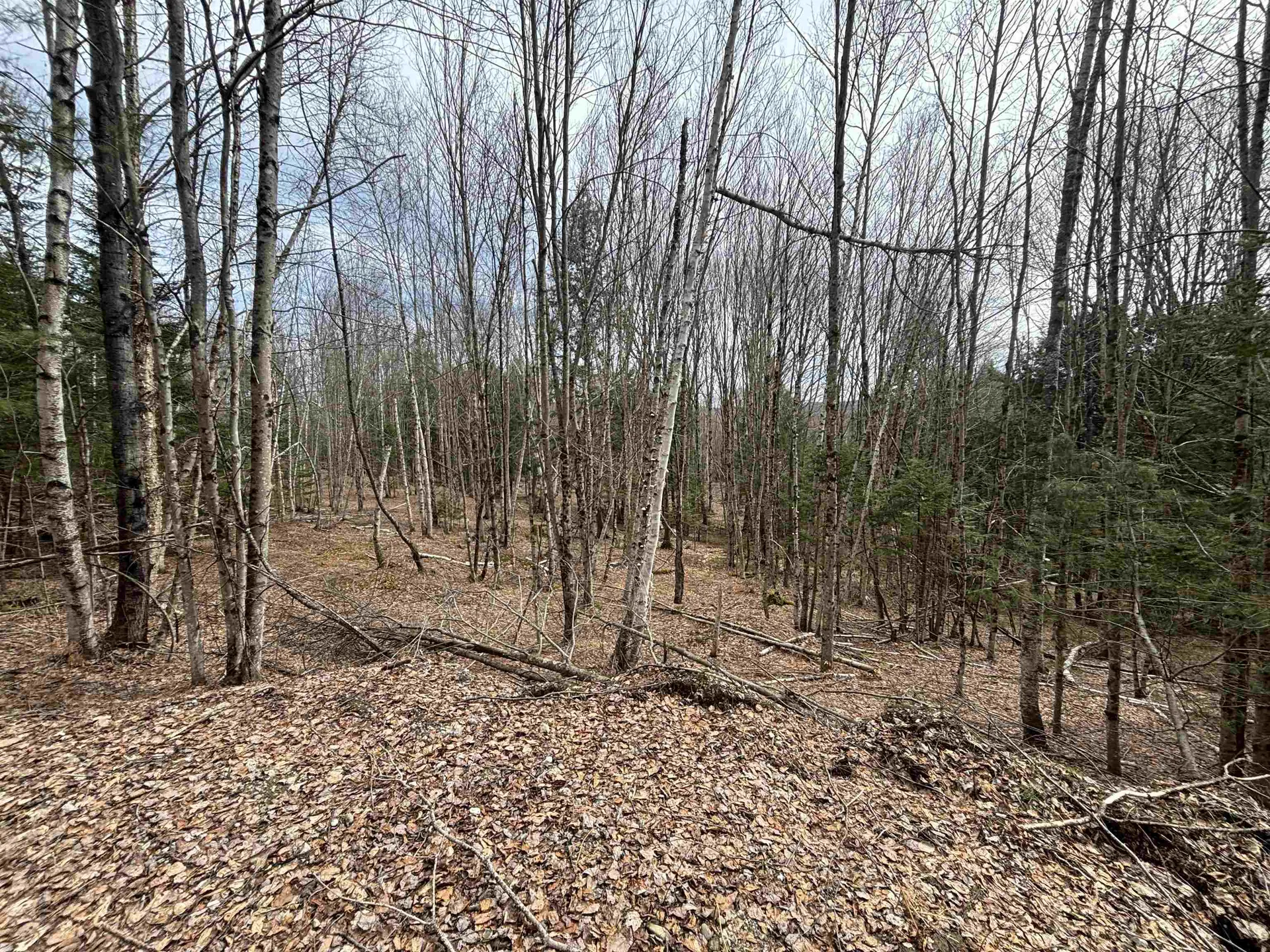 Tbd Sugar House Lane Morristown VT 05661