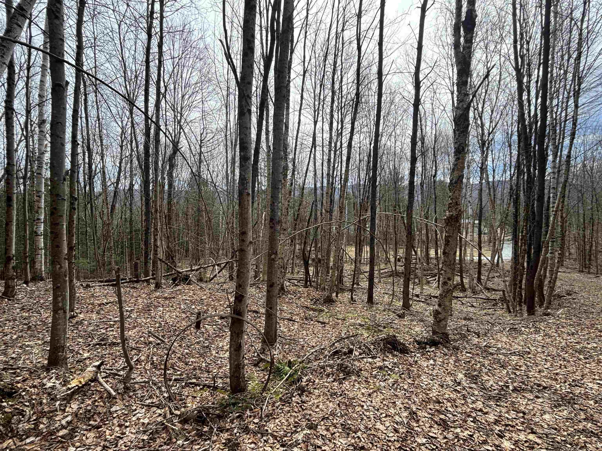 Tbd Sugar House Lane Morristown VT 05661