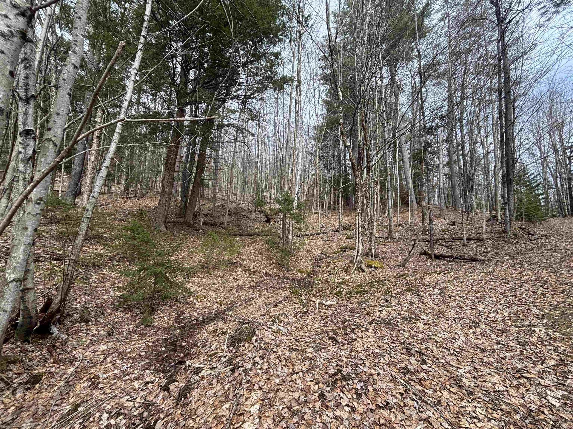 Tbd Sugar House Lane Morristown VT 05661