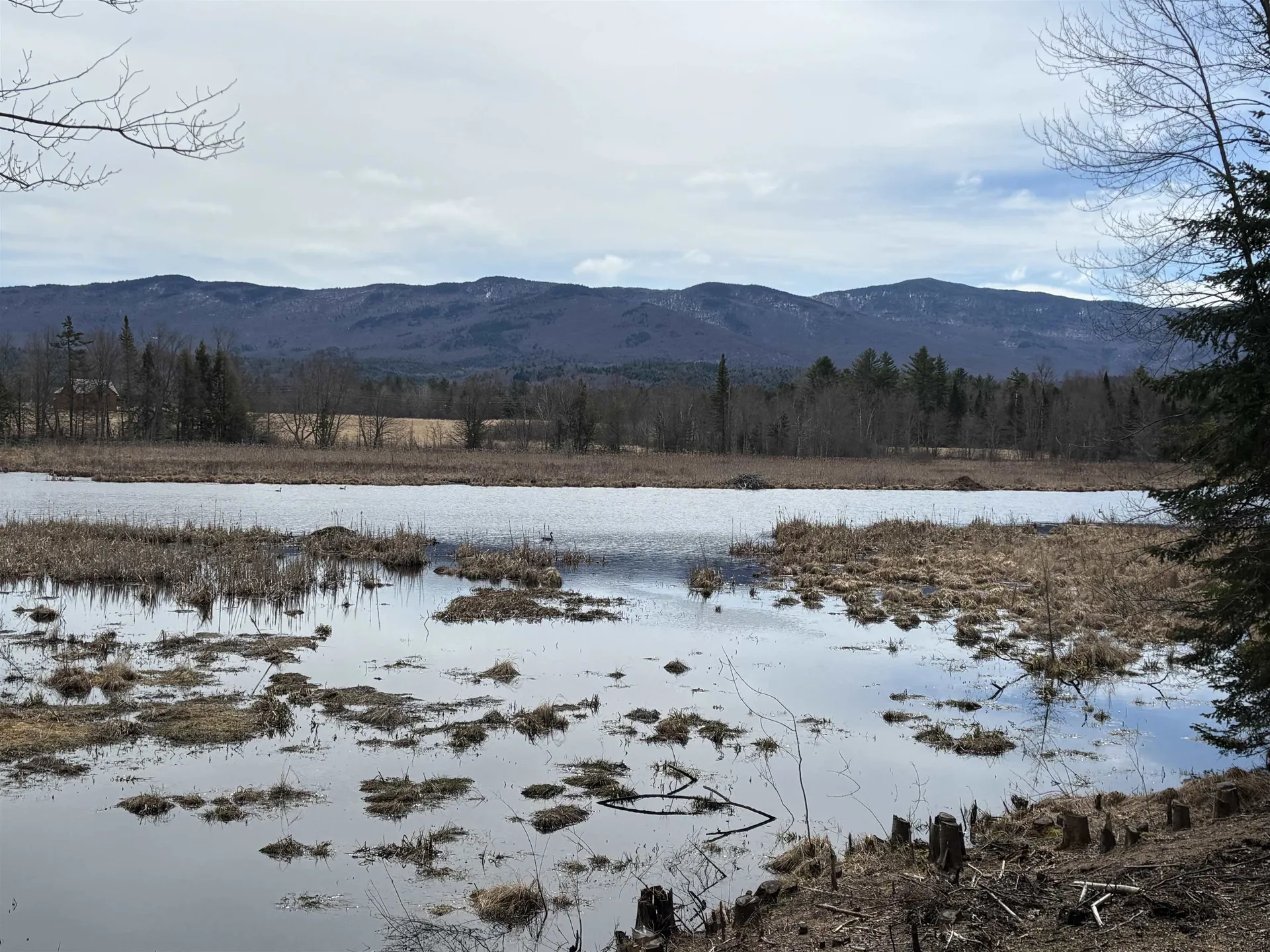 Tbd Sugar House Lane Morristown VT 05661