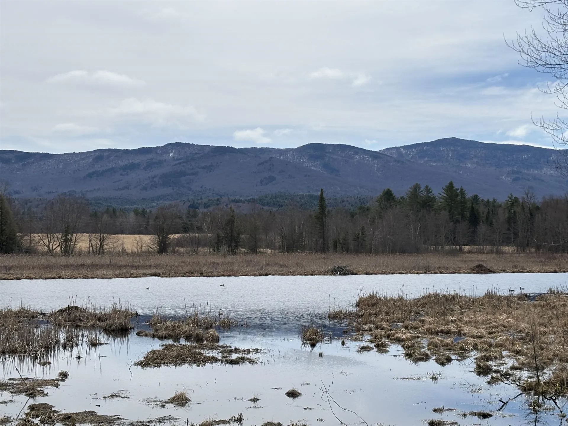 Tbd Sugar House Lane Morristown VT 05661