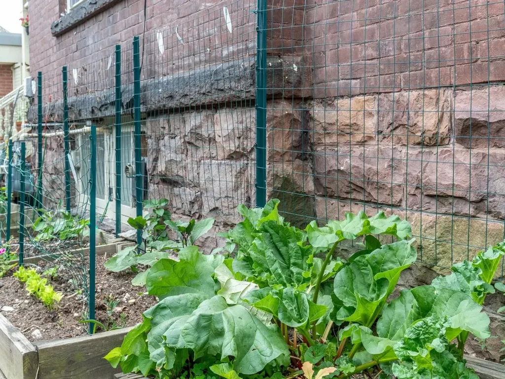 25 Buell Street Burlington VT 05401