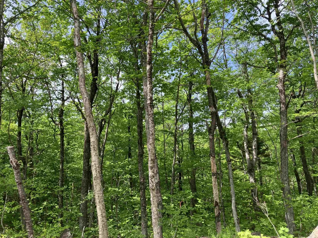 404 Fox Mt Road Wilmington VT 05356