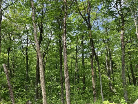 404 Fox Mt Road Wilmington VT 05356