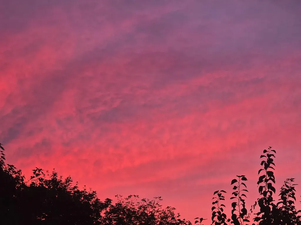 33 Sable Way Manchester NH 03102