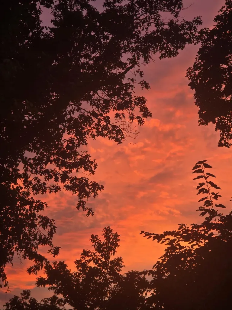 33 Sable Way Manchester NH 03102