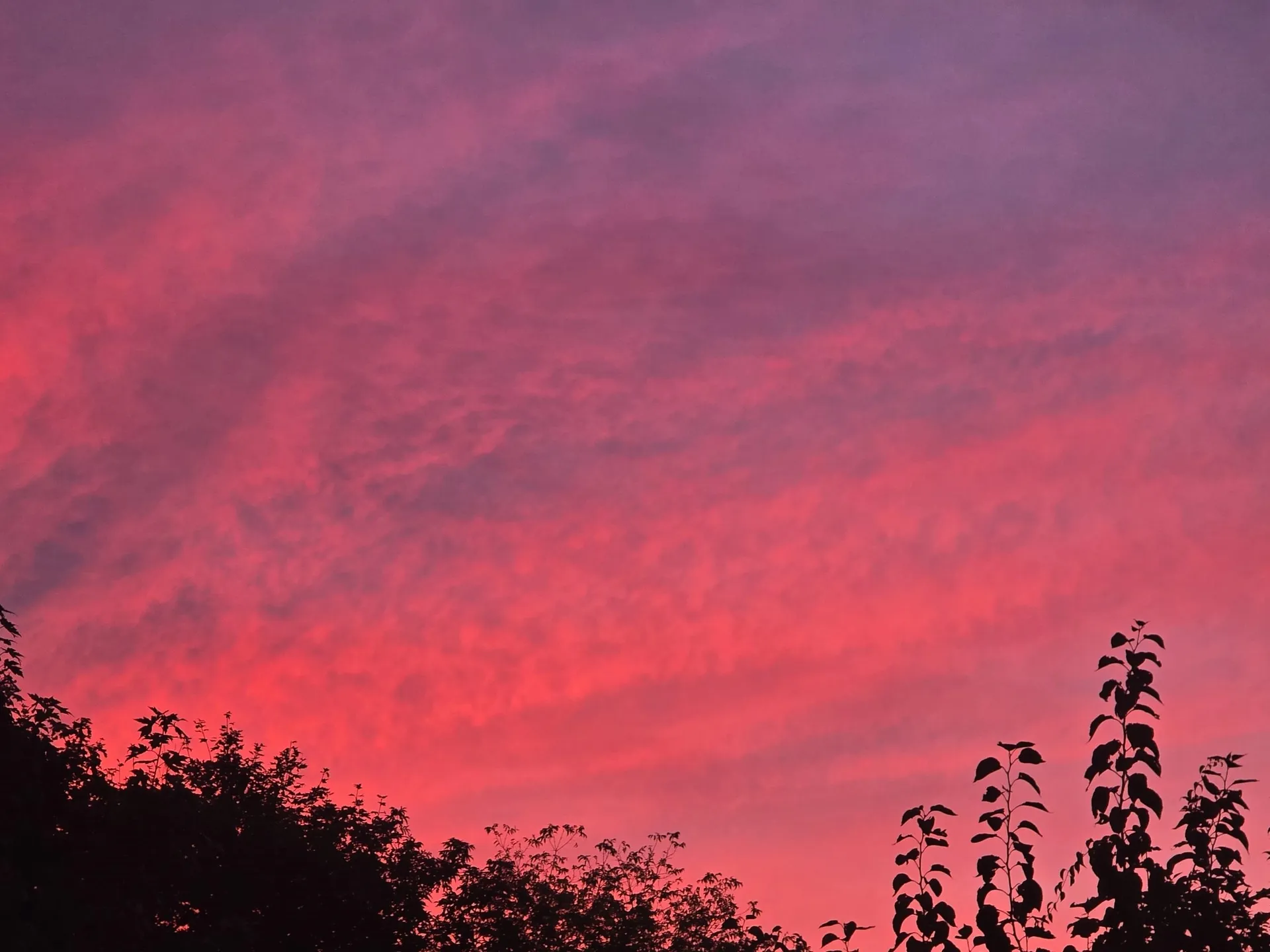 33 Sable Way Manchester NH 03102