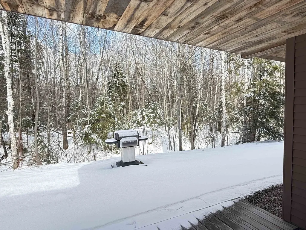 19 Bobcat Way Waterville Valley NH 03215