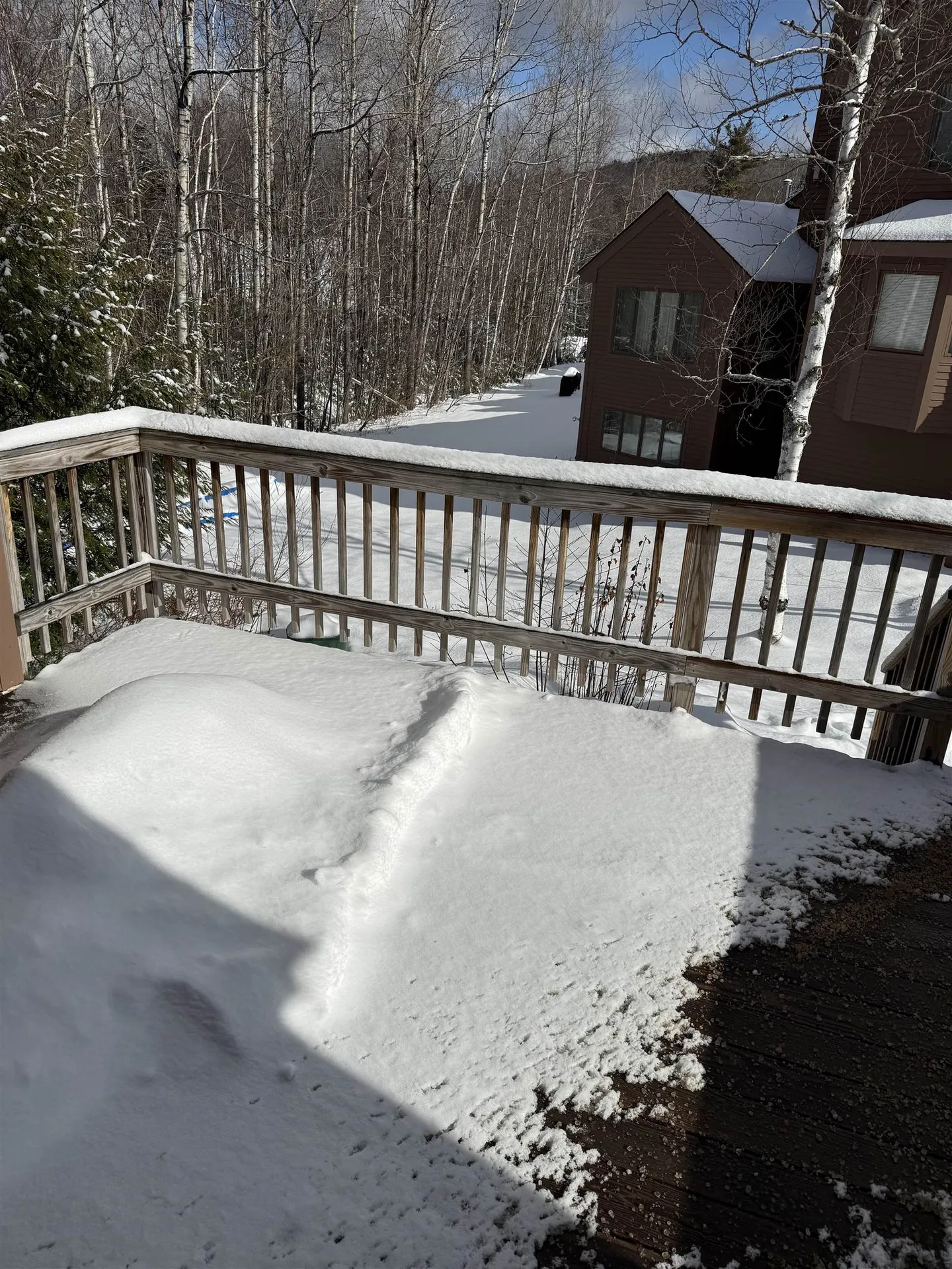 19 Bobcat Way Waterville Valley NH 03215