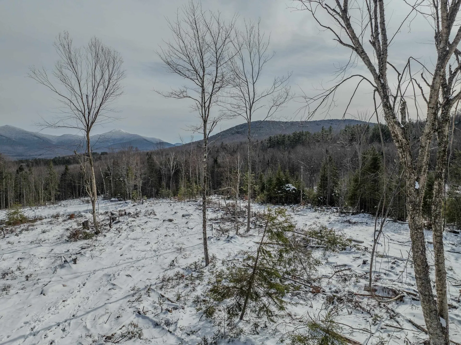 000 Ridge Road Bethlehem NH 03574