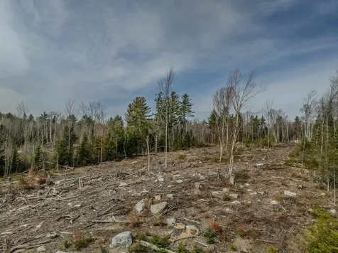 000 Ridge Road Bethlehem NH 03574