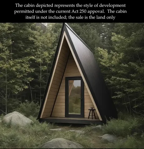 4769 Pikes Falls Road Jamaica VT 05143