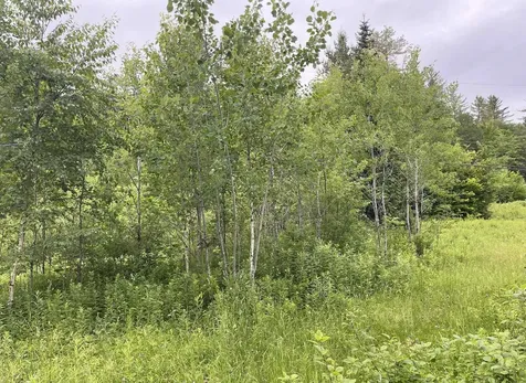 4769 Pikes Falls Road Jamaica VT 05143