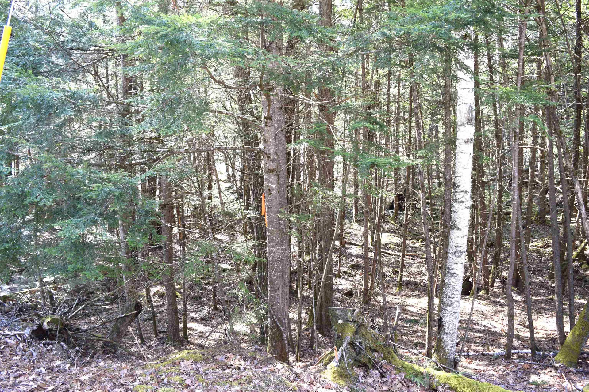 Lot 185 Hanover Drive Haverhill NH 03765