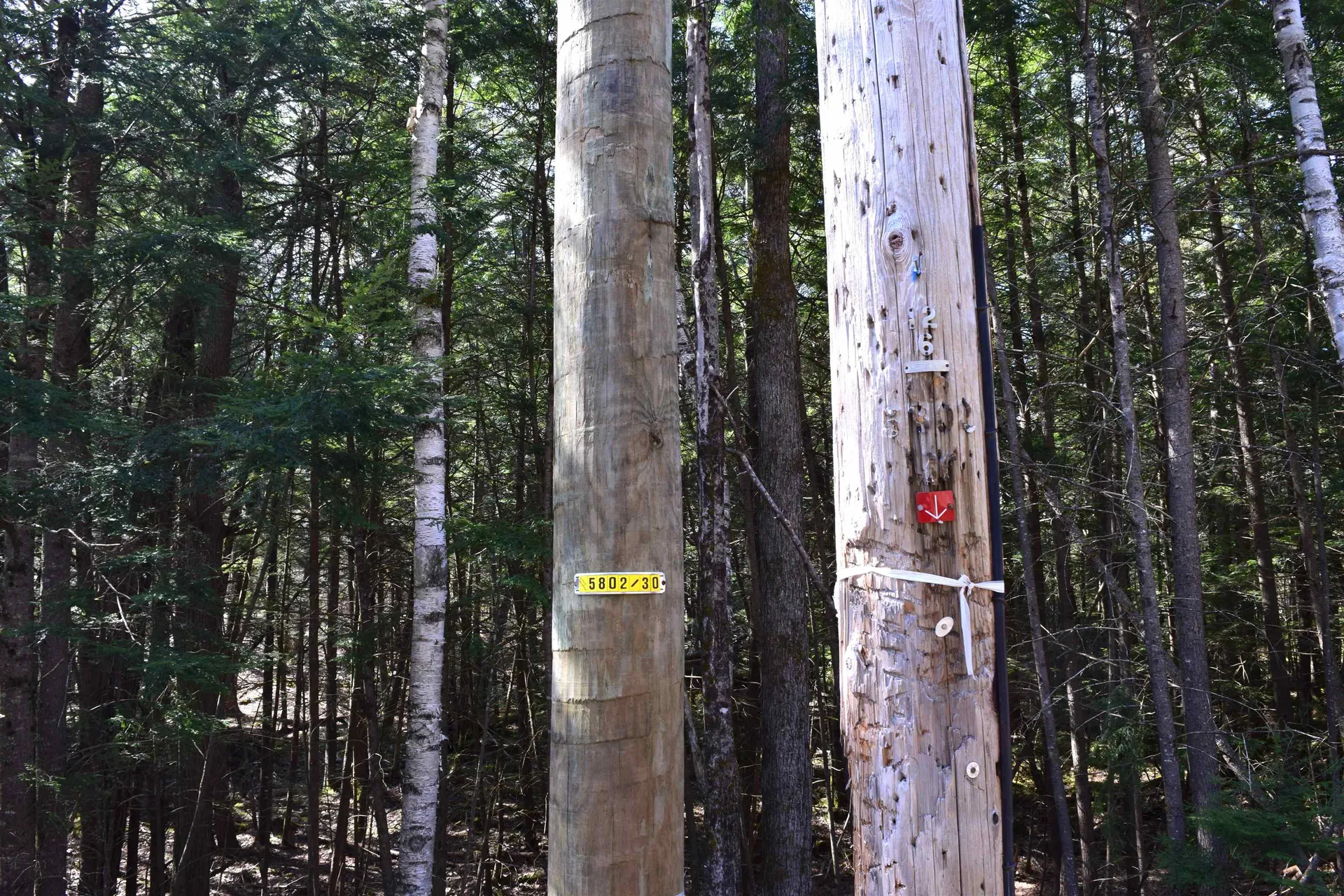 Lot 185 Hanover Drive Haverhill NH 03765