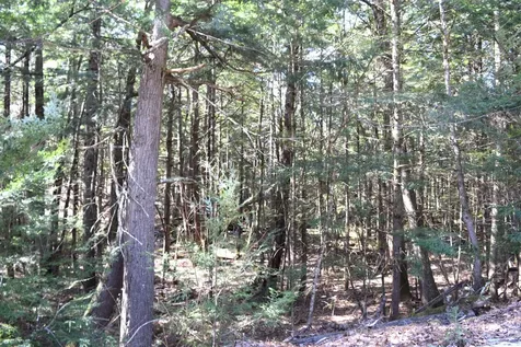 Lot 185 Hanover Drive Haverhill NH 03765