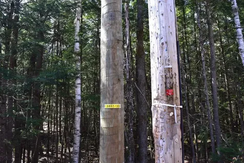 Lot 185 Hanover Drive Haverhill NH 03765