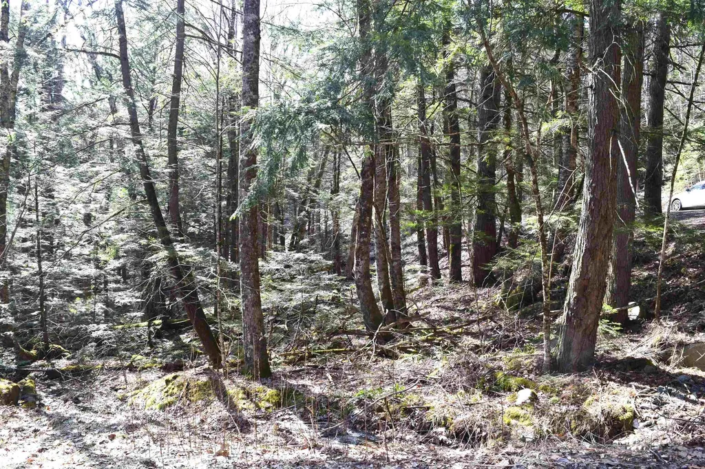 Lot 14 Hanover Drive Haverhill NH 03765